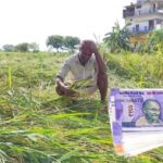 Chhattisgarh : ओला पीड़ित किसानों को मिला 9 लाख का मुआवजा, जानें प्रति हेक्टेयर कितना मिल रहा मुआवजा