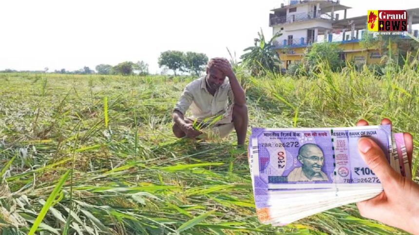 Chhattisgarh : ओला पीड़ित किसानों को मिला 9 लाख का मुआवजा, जानें प्रति हेक्टेयर कितना मिल रहा मुआवजा