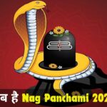 Nag Panchami 2024 : कब है नाग पंचमी, यहां जानिए डेट और पूजा का शुभ मुहूर्त