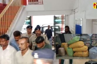  CG CRIME : जूटमिल पुलिस ने पकड़ी गांजे की बड़ी खेप, 175 किलो गांजा के साथ 5 आरोपी गिरफ्तार 