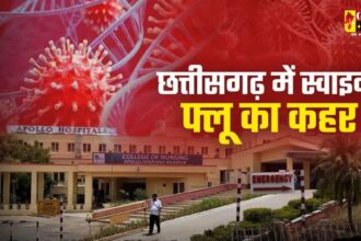 Swine flu in Chhattisgarh: राजधानी में स्वाइन फ्लू ने बढ़ाई चिंता, 60 से ज्यादा मरीज मिले, 6 की मौत 