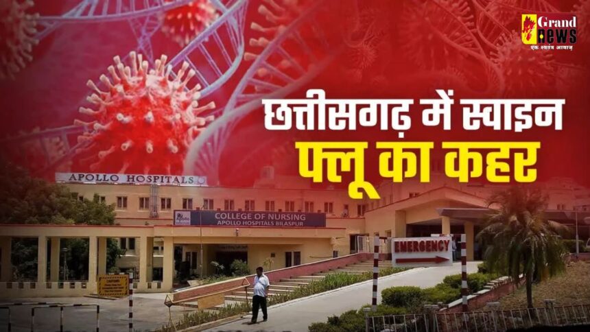 Swine flu in Chhattisgarh: राजधानी में स्वाइन फ्लू ने बढ़ाई चिंता, 60 से ज्यादा मरीज मिले, 6 की मौत 