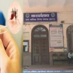 Raigarh Breaking: डेंगू की चपेट में आए नगर निगम के आधा दर्जन कर्मचारी, मचा हड़कंप