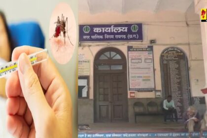 Raigarh Breaking: डेंगू की चपेट में आए नगर निगम के आधा दर्जन कर्मचारी, मचा हड़कंप