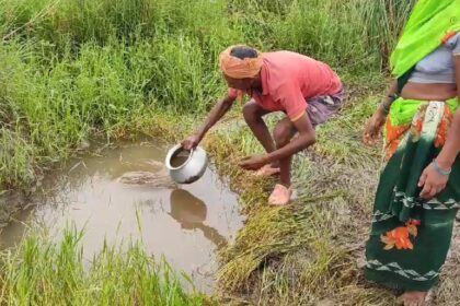 BIG BREAKING: एक ही परिवार के 4 बैगाओ की मौत, परिवार के लोग भी डायरिया से ग्रसित