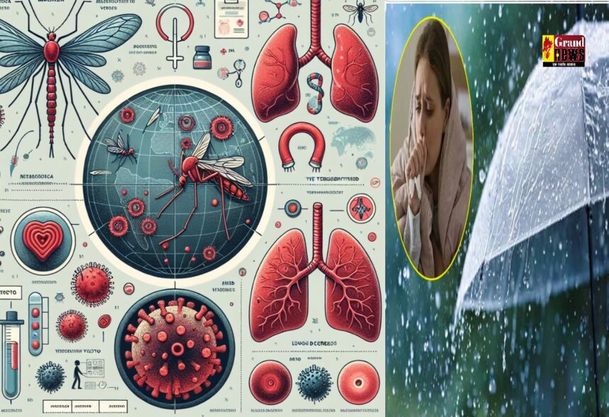 Monsoon Diseases : बरसात में तेजी से फैलती हैं ये तीन बीमारियां, जानें लक्षण और बचाव के उपाय