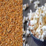 Popcorn Health Benefits : सिर्फ टाइमपास के लिए नहीं सेहत के लिए फायदेमंद हैं पॉपकॉर्न, जानिए कैसे ?