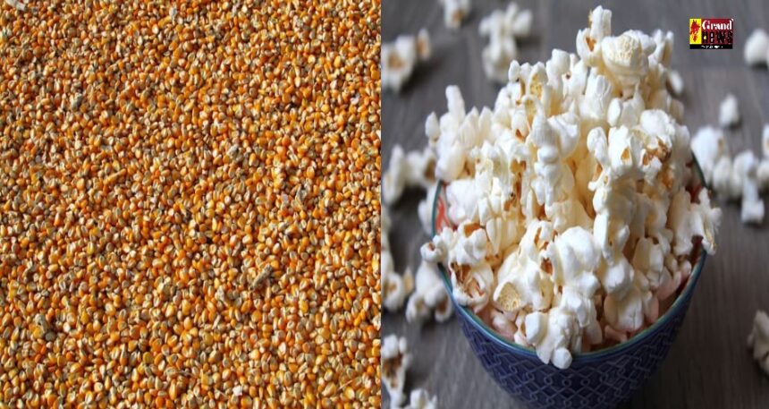 Popcorn Health Benefits : सिर्फ टाइमपास के लिए नहीं सेहत के लिए फायदेमंद हैं पॉपकॉर्न, जानिए कैसे ?