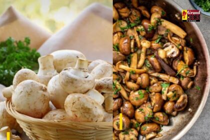 Mushroom Side Effects: भूलकर भी ना खाएं मशरूम, हो सकती हैं मानसिक बीमारी