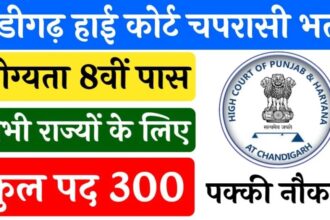 High Court Jobs 2024: 8वीं पास युवाओं के लिए नौकरी का शानदार मौका, हाई कोर्ट में निकली बंपर जॉब्स, जानें डिटेल्स 