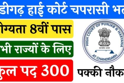 High Court Jobs 2024: 8वीं पास युवाओं के लिए नौकरी का शानदार मौका, हाई कोर्ट में निकली बंपर जॉब्स, जानें डिटेल्स 