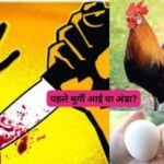 OMG : दोस्त ने पूछा - पहले मुर्गी आई या अंडा?' जवाब सुनकर 15 बार मारा चाकू, हुई दर्दनाक मौत 