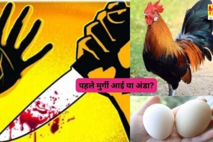 OMG : दोस्त ने पूछा - पहले मुर्गी आई या अंडा?' जवाब सुनकर 15 बार मारा चाकू, हुई दर्दनाक मौत 