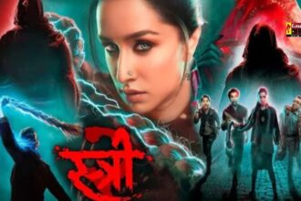 Stree 2 Collection : सबसे ज्यादा कमाई करने वाली फिल्म बनी स्त्री 2, बॉक्स ऑफिस पर मचा रही धूम, इतनी हुई कमाई