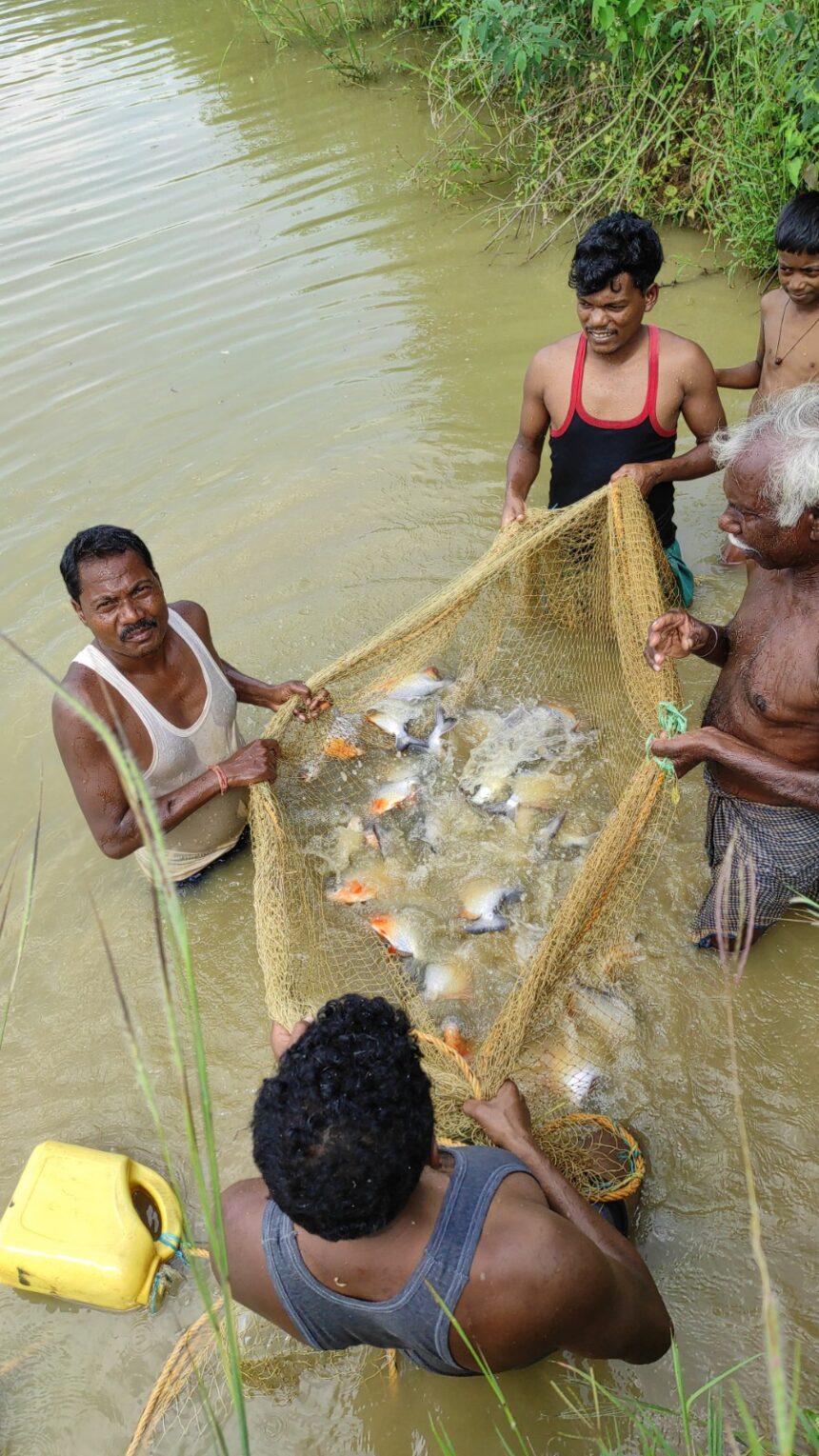 CG NEWS : मछली पालन से समृद्ध हो रहे किसान, जनकराम को साल में 7 लाख रुपए का हुआ मुनाफा