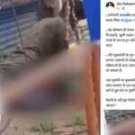 Ujjain rape video : महिला को शराब पिलाई, फिर दिनदहाड़े फुटपाथ पर किया दुष्कर्म, वीडियो सोशल मीडिया पर  वायरल, जीतू पटवारी ने सरकार को घेरा   