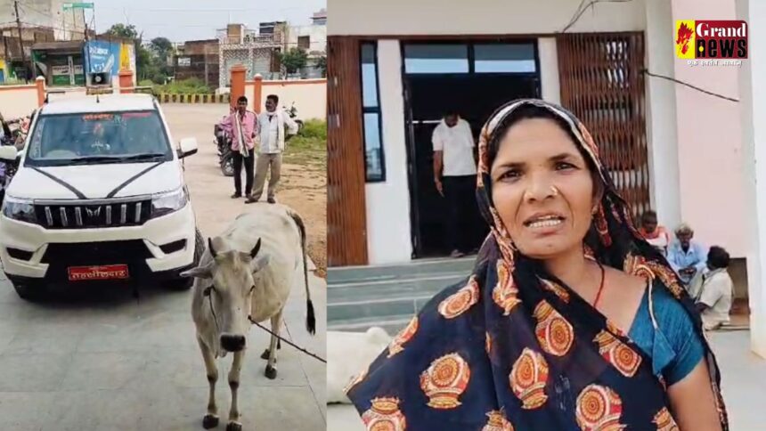 VIRAL NEWS : अजब बुंदेलखंड की गजब कहानी: जमीन स्टे के लिए ₹50000 की रिश्वत मांग रहा था SDM का बाबू , गाय लेकर कार्यालय पहुंची महिला 