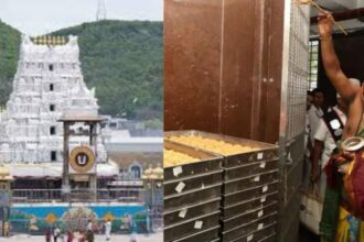 TIRUPATI LADDU VIVAD : सुप्रीम कोर्ट में आज सुनवाई, फैसले के बाद आंध्र पुलिस SIT जांच आगे बढ़ाएगी