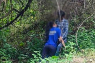 young man and a girl found hanging : जंगल में फंदे पर लटकती मिली युवक-युवती की लाश, सुसाइड नोट बरामद 