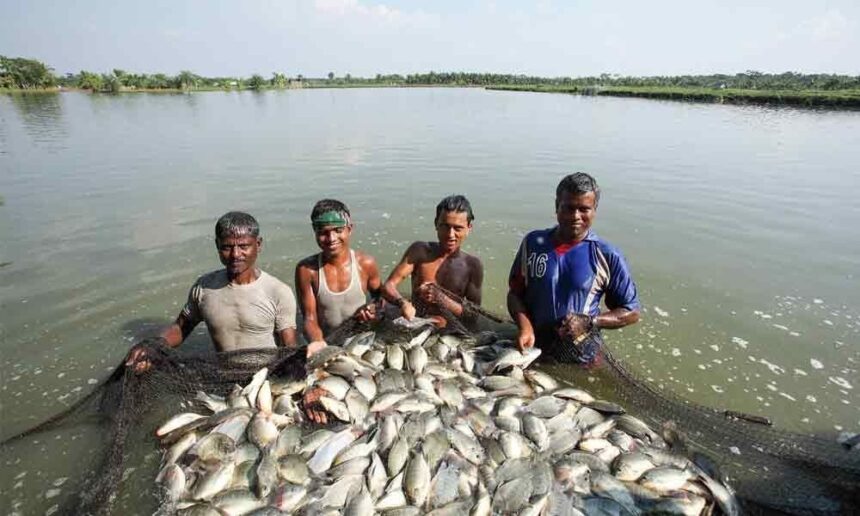 CG NEWS : मत्स्य कृषकों के लिए काम की खबर, प्रधानमंत्री किसान समृद्धि सह योजना के तहत एनएफडीपी पर पंजीकरण अनिवार्य