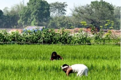 CG NEWS : किसानों के लिए वरदान साबित हुई बारिश, विद्युत विभाग की ओर उम्मीद लगाए बैठे थे किसान