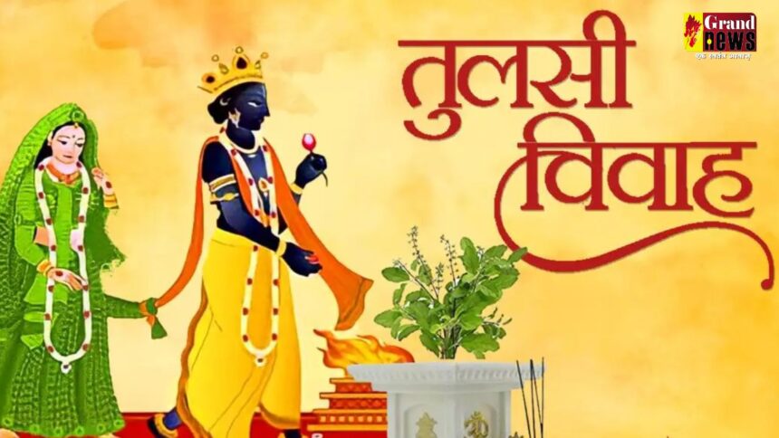 Tulsi Vivah 2024: कब है तुलसी विवाह, यहां जानें डेट और शुभ मुहूर्त 