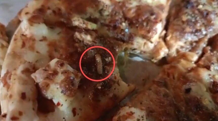 VIDEO: OMG! Pizza में निकले जिंदा कीड़े! इस शख्स ने शेयर किए PHOTO, वीडियो, आप भी हो जाएं सावधान