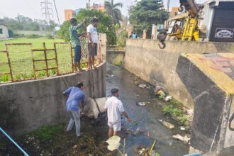 CG NEWS : नाले में गिरा बैल, निगम प्रशासन की लापरवाही से गौवंश की जान खतरे में