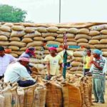 CG purchased paddy : छत्तीसगढ़ में अबतक 6.76 लाख मीट्रिक टन धान की हुई खरीदी, किसानों को 1288.55 करोड़ का भुगतान