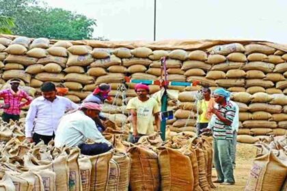 CG purchased paddy : छत्तीसगढ़ में अबतक 6.76 लाख मीट्रिक टन धान की हुई खरीदी, किसानों को 1288.55 करोड़ का भुगतान