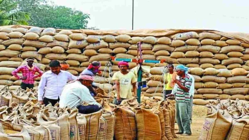 CG purchased paddy : छत्तीसगढ़ में अबतक 6.76 लाख मीट्रिक टन धान की हुई खरीदी, किसानों को 1288.55 करोड़ का भुगतान