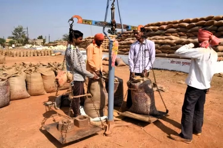 Paddy purchased in CG : प्रदेश में 14 नवम्बर से शुरू होगी धान खरीदी, टोकन काटने से पहले पढ़ लें नियम