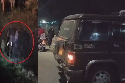 CG NEWS : तीन हाथियों का दल कॉलरी के ग्राउंड पंहुचा, स्थानीय लोगो मे दहाशत का माहौल