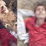 CG ACCIDENT NEWS : अनियंत्रित होकर सड़क किनारे पेड़ से टकराई बाइक, सवार पति की मौके पर मौत, पत्नी गंभीर रूप से घायल  