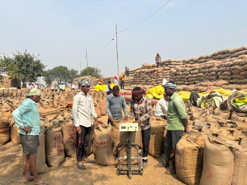 CG purchased paddy : छत्तीसगढ़ में समर्थन मूल्य पर हो चुकी 50 लाख मीट्रिक टन धान की खरीदी, किसानों को 10,770 करोड़ रूपए का भुगतान 