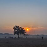 CG Weather News : दो दिनों में तापमान चार से पांच डिग्री तक बढ़ा, ठंड में आई कमी, आगामी कुछ दिनों में मौसम में कोई विशेष परिवर्तन होने की संभावना नहीं