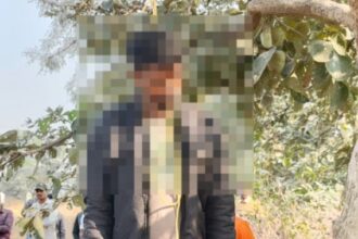 CG NEWS: युवक की पेड़ से झूलती मिली लाश, मल्हार चौकी क्षेत्र का मामला, पुलिस कर रही मामले की जांच