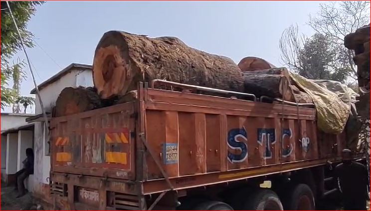 Breaking News : अवैध इमारती लकड़ी की तस्करी करते वन विभाग की टीम ने ट्रक को किया जप्त