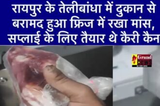 Raipur News: तेलीबांधा में दुकान से बरामद हुआ फ्रिज में रखा मांस, सप्लाई के लिए तैयार थे कैरी कैन