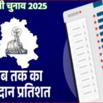 Delhi Assembly Election 2025 : मतदान जारी, 3 बजे तक 46.55% वोटिंग, मुस्तफाबाद सीट पर चौंकाने वाले आंकड़े