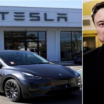 Tesla Cars Showroom : दिल्ली-मुंबई में जल्द खुलेगा टेस्ला का शोरूम, इलेक्ट्रिक कारों की बिक्री को मिलेगी रफ्तार!