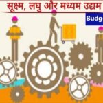 Budget 2025 Update : सूक्ष्म, लघु और मध्यम उद्यमों के वर्गीकरण के लिए निवेश और टर्नओवर की सीमा को बढ़ाया