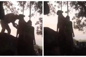 Lover and girlfriend found hanging : प्रेम कहानी का दर्दनाक अंत: पेड़ में फंदे पर लटके मिले प्रेमी प्रेमिका के शव, कुछ दिनों पहले हुई थी युवती शादी