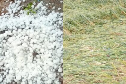 CG NEWS : आंधी-तूफान, बारिश और ओलावृष्टि से जनजीवन प्रभावित, किसानों की फसलें बर्बाद