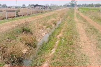 CG NEWS : किसान पानी की समस्या से परेशान, फसल बर्बादी की कगार पर