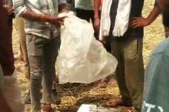 CG: हेडसपुर में मिली गाय की कटी हुई लाश, गांव में तनाव का माहौल
