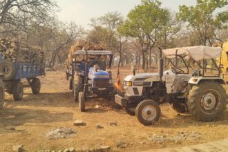 CG NEWS : वन विभाग की बड़ी कार्रवाई, अवैध लकड़ी तस्करी के खिलाफ कसा शिकंजा