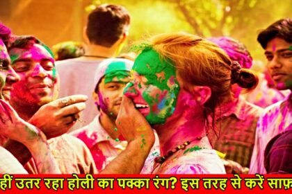 Holi 2025 Skincare Tips : होली के पक्के रंगों से पाएं छुटकारा, आजमाएं ये घरेलू तरीके