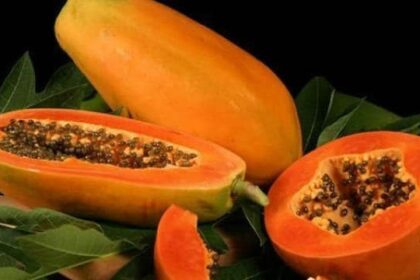 Papaya For Weight Loss : पपीता और वजन घटाने का चमत्कारी असर: कम करें बेली फैट और पाएं फिट शरीर