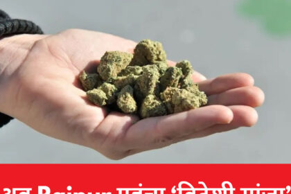 CG NEWS :विदेशी गांजा तस्करी का पर्दाफाश, आरोपी गिरफ्तार